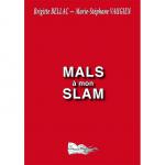 MALS À MON SLAM